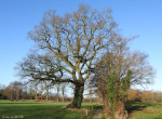Kerkveldervoetpad